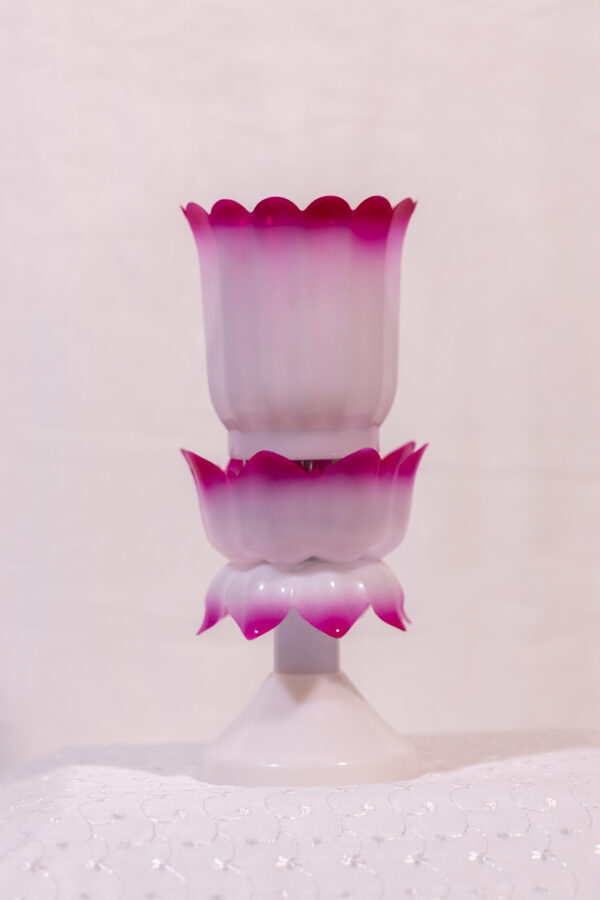 NANO DOUBLE COLOR  & LOTUS STAND MEDIUM - Image 3