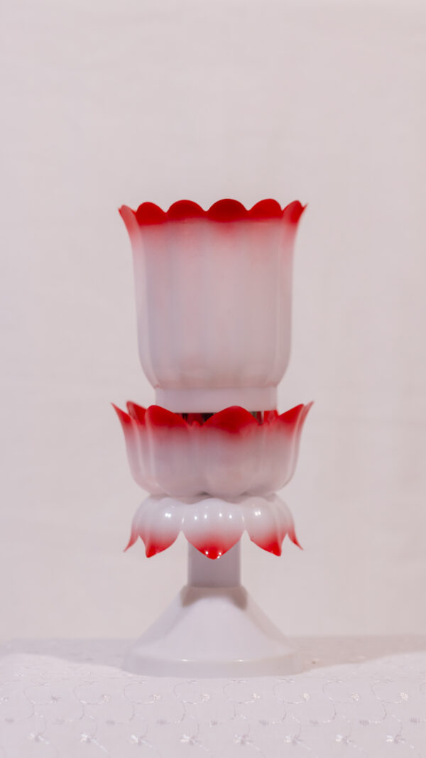 NANO DOUBLE COLOR  & LOTUS STAND MEDIUM - Image 2