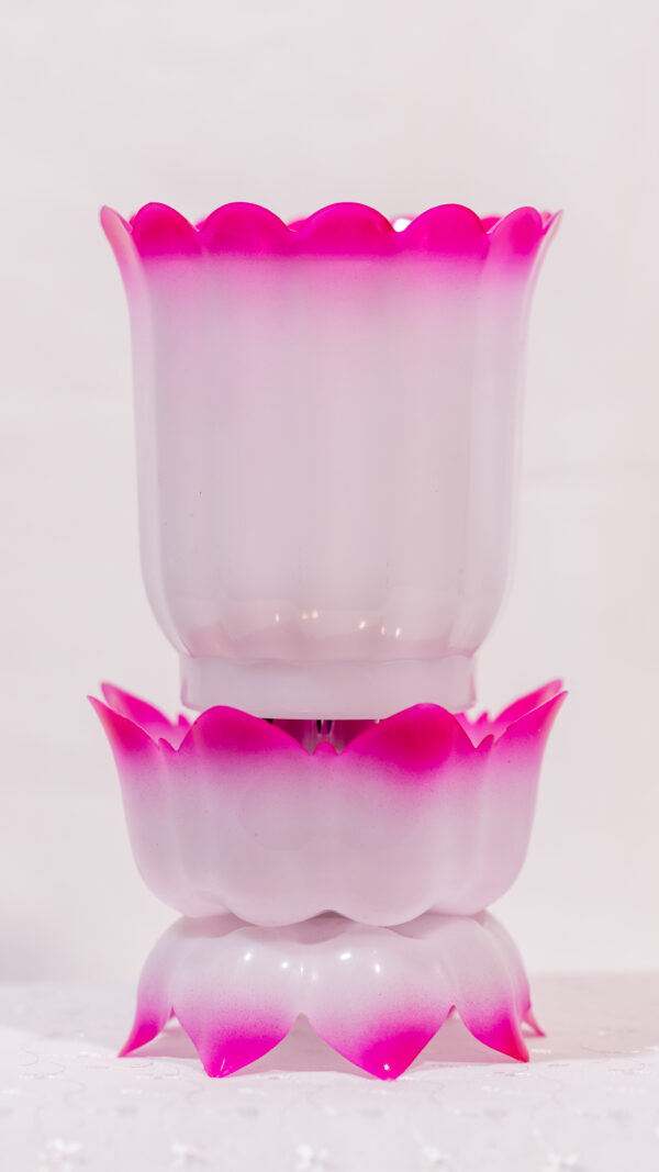 NANO DOUBLE COLOR  & LOTUS STAND SMALL - Image 5