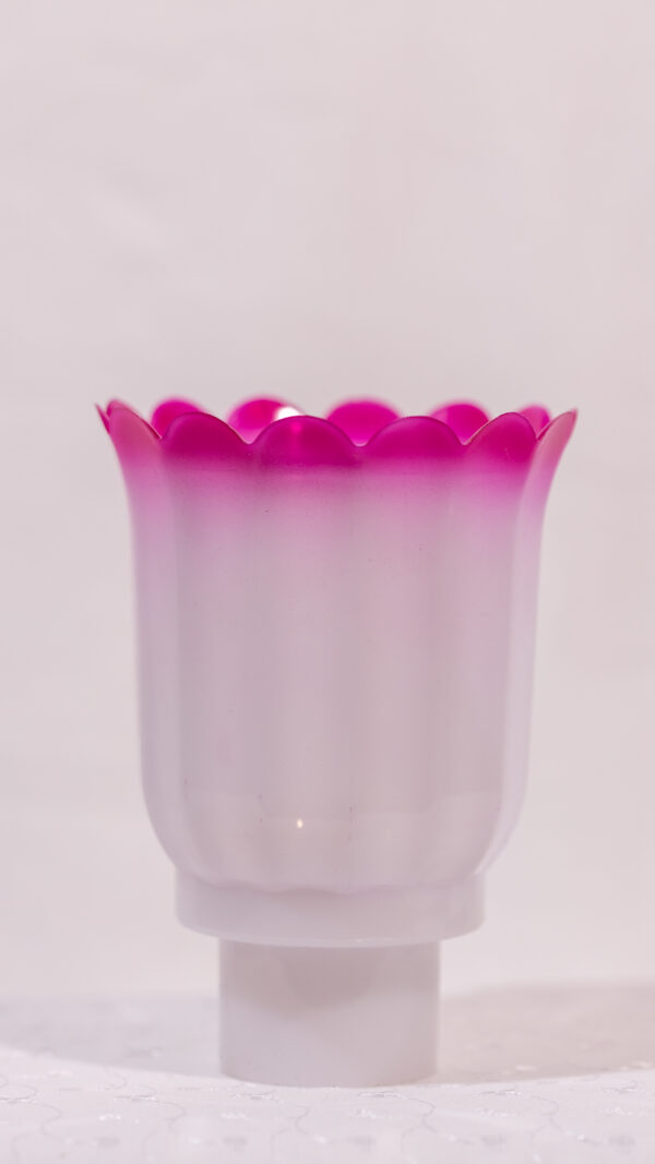 NANO DOUBLE COLOR - Image 5