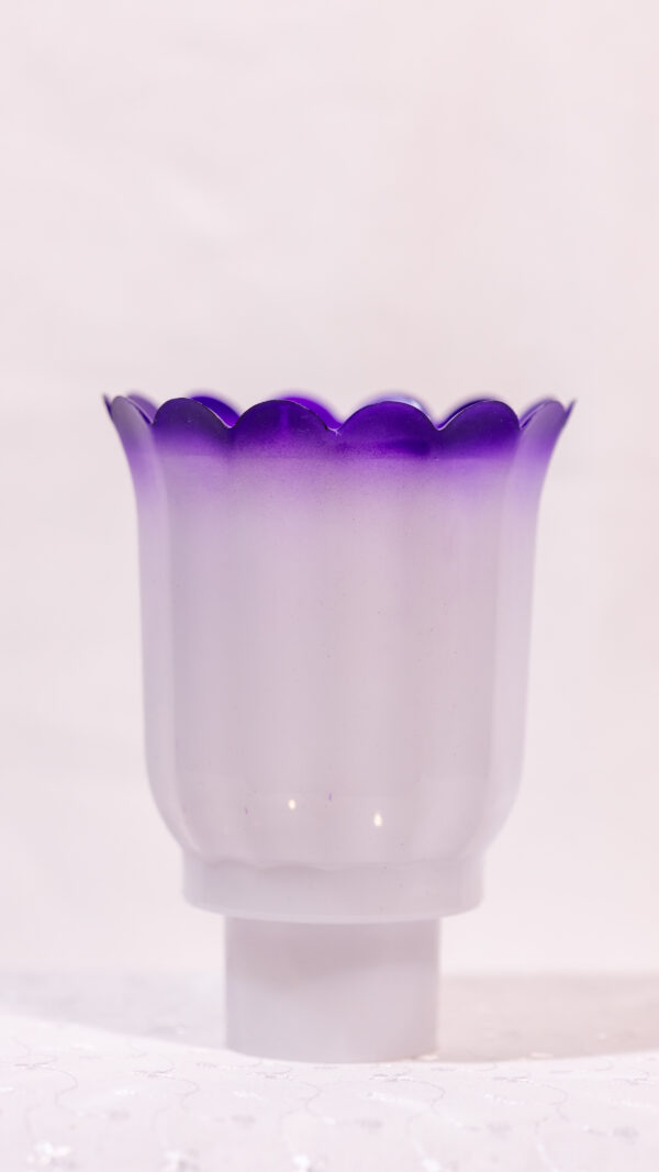 NANO DOUBLE COLOR - Image 4