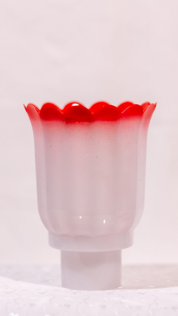 NANO DOUBLE COLOR - Image 2