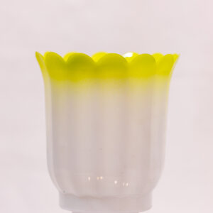 NANO DOUBLE COLOR