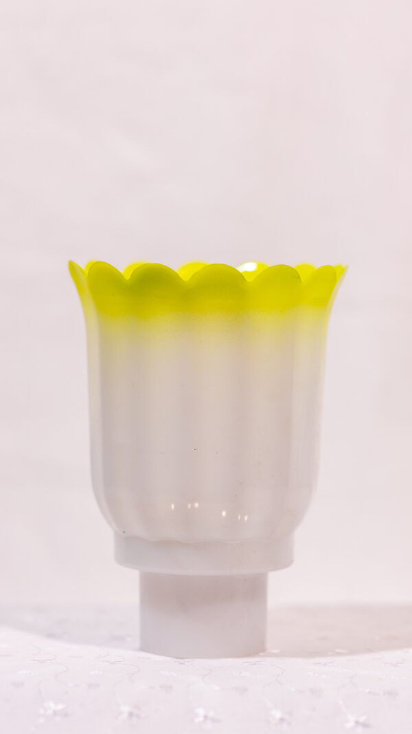 NANO DOUBLE COLOR
