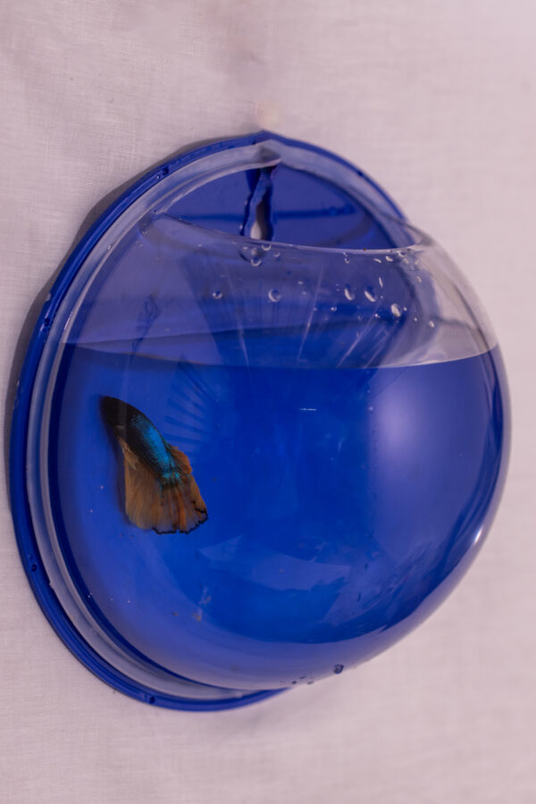 AQUA WALL - Image 2