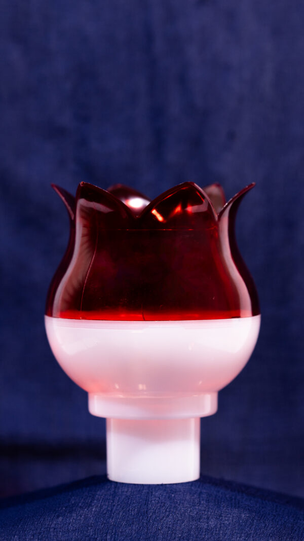 DHOOM GLOBE  DOUBLE COLOUR - Image 3