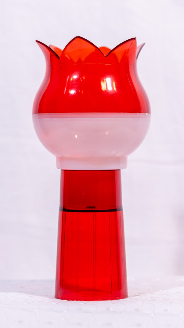 DHOOM GLOBE  DOUBLE COLOUR - Image 4