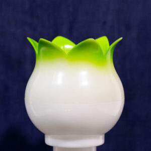 DHOOM GLOBE  SPRAY PAINT
