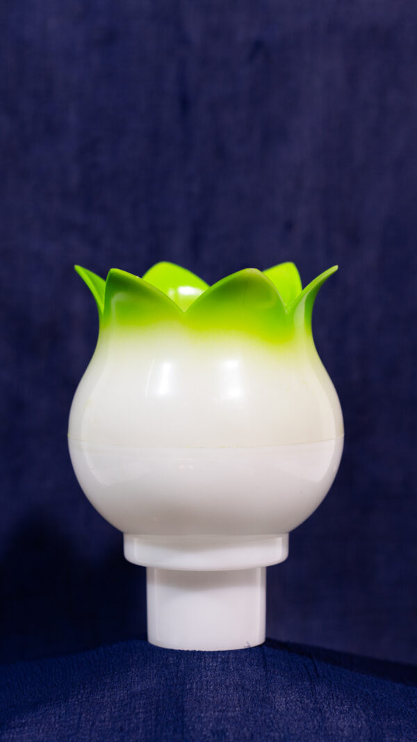 DHOOM GLOBE  SPRAY PAINT